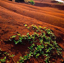 《幽灵行动：火线》遭大量批评 育碧延期封测